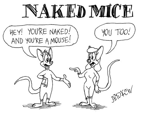 nakedmice.gif