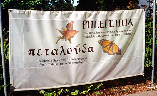 butterfly-pulelehua.jpg