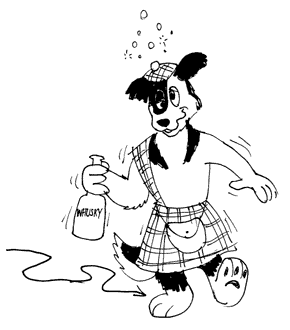 Furry Night Live: The Scotsman.