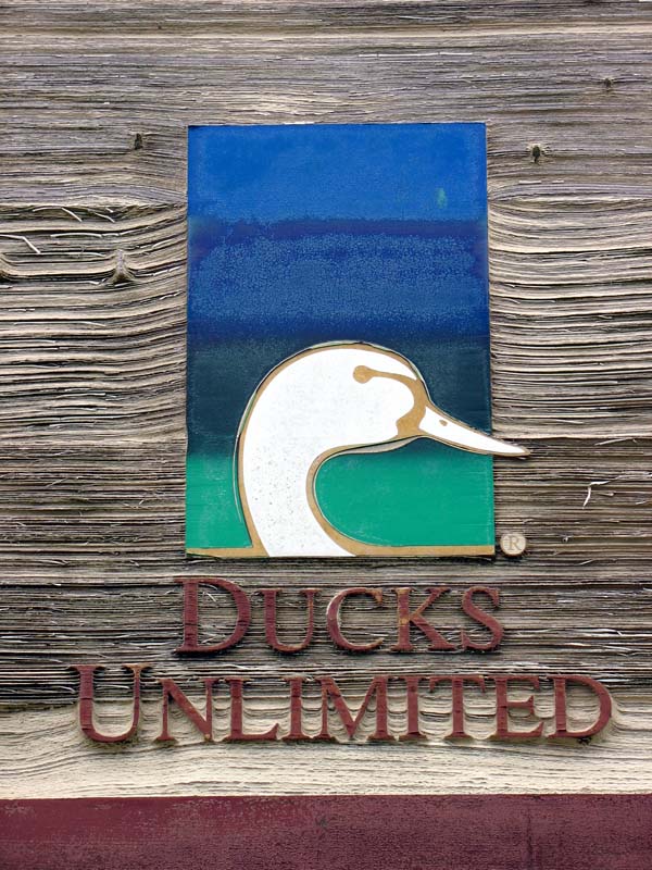 43-ducksunlimited.jpg