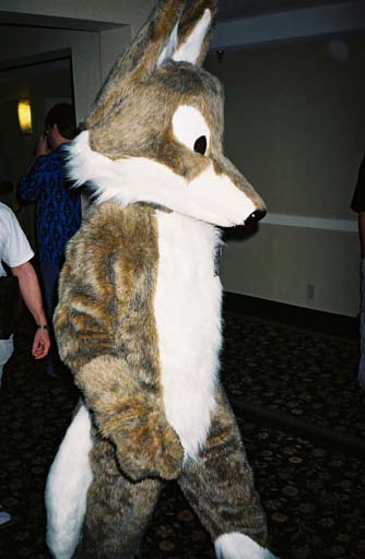 fsp-foxie.jpg