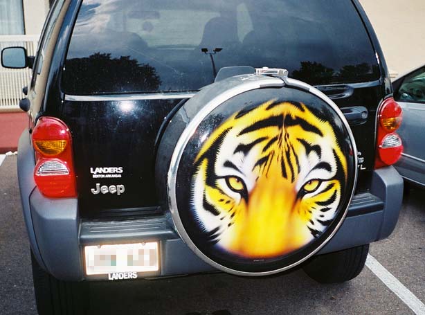 tiger-tire.jpg