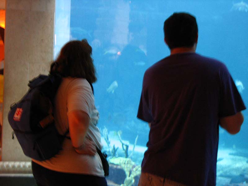 236-aquarium-humans.jpg