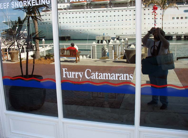 386-furrycatamarans.jpg