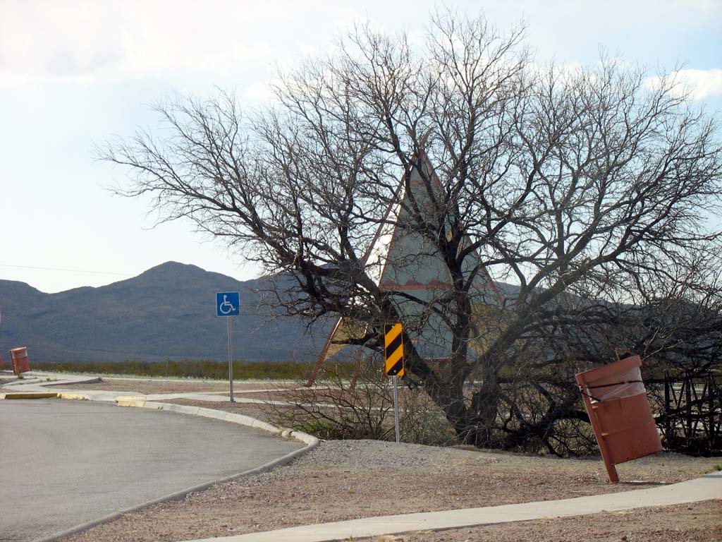 cctucson003-teepee-tree.jpg