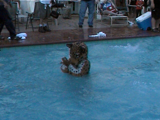 jj-in-pool.jpg